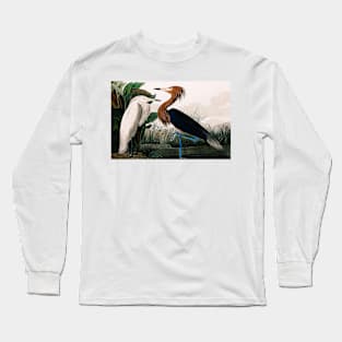 Bird of America  Bird, bird lover, america, beautiful  Public domain painting by John James Audubon Long Sleeve T-Shirt